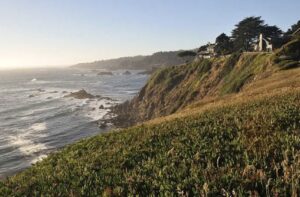 CT Tech jobs in California