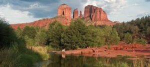 CT Tech jobs in Arizona